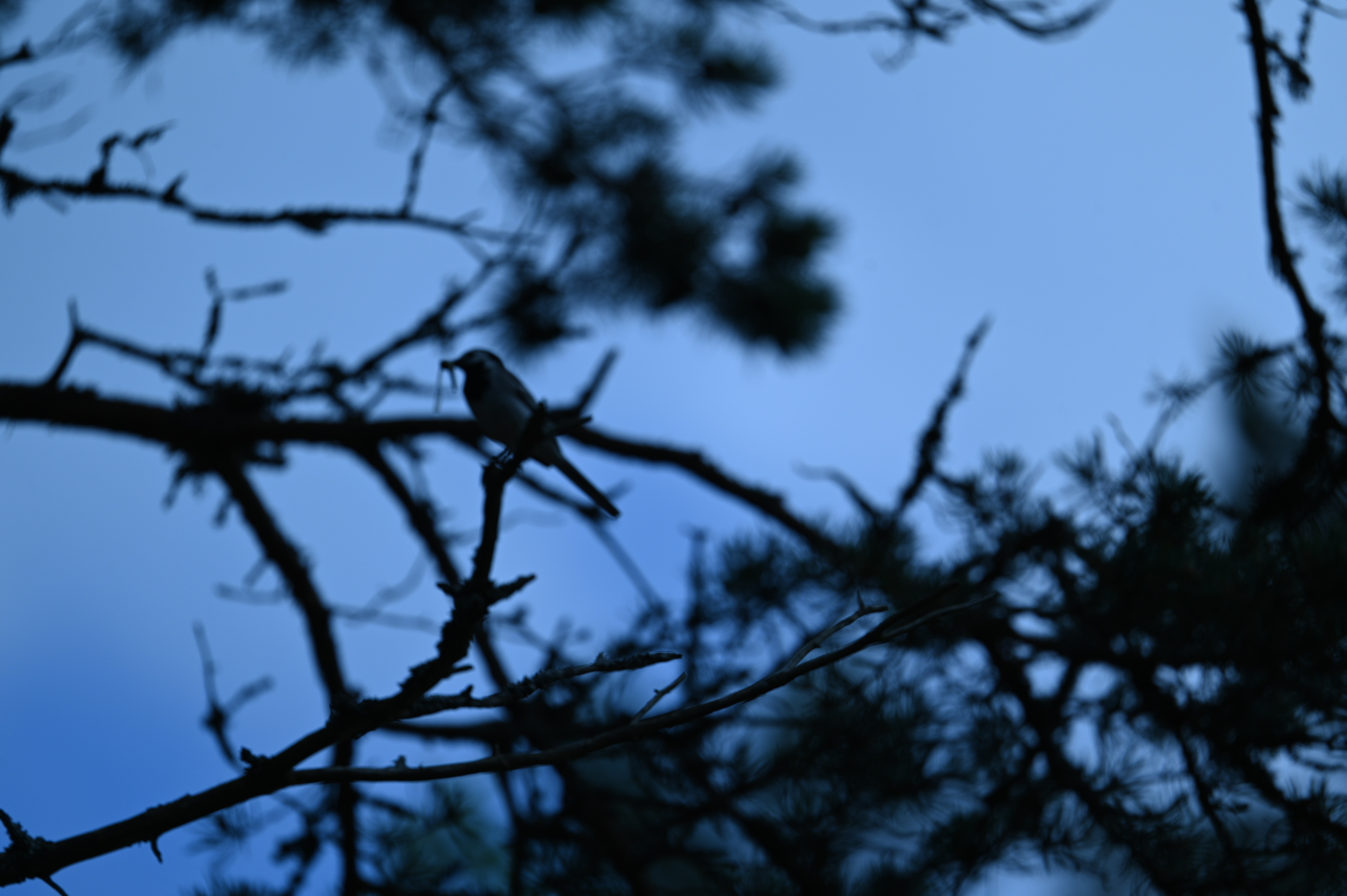 2025/07/09-14 - trip/DSC_0392.JPG